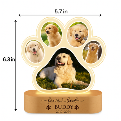 Personalized Pet Paw Lamp