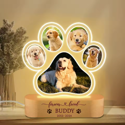 Personalized Pet Paw Lamp